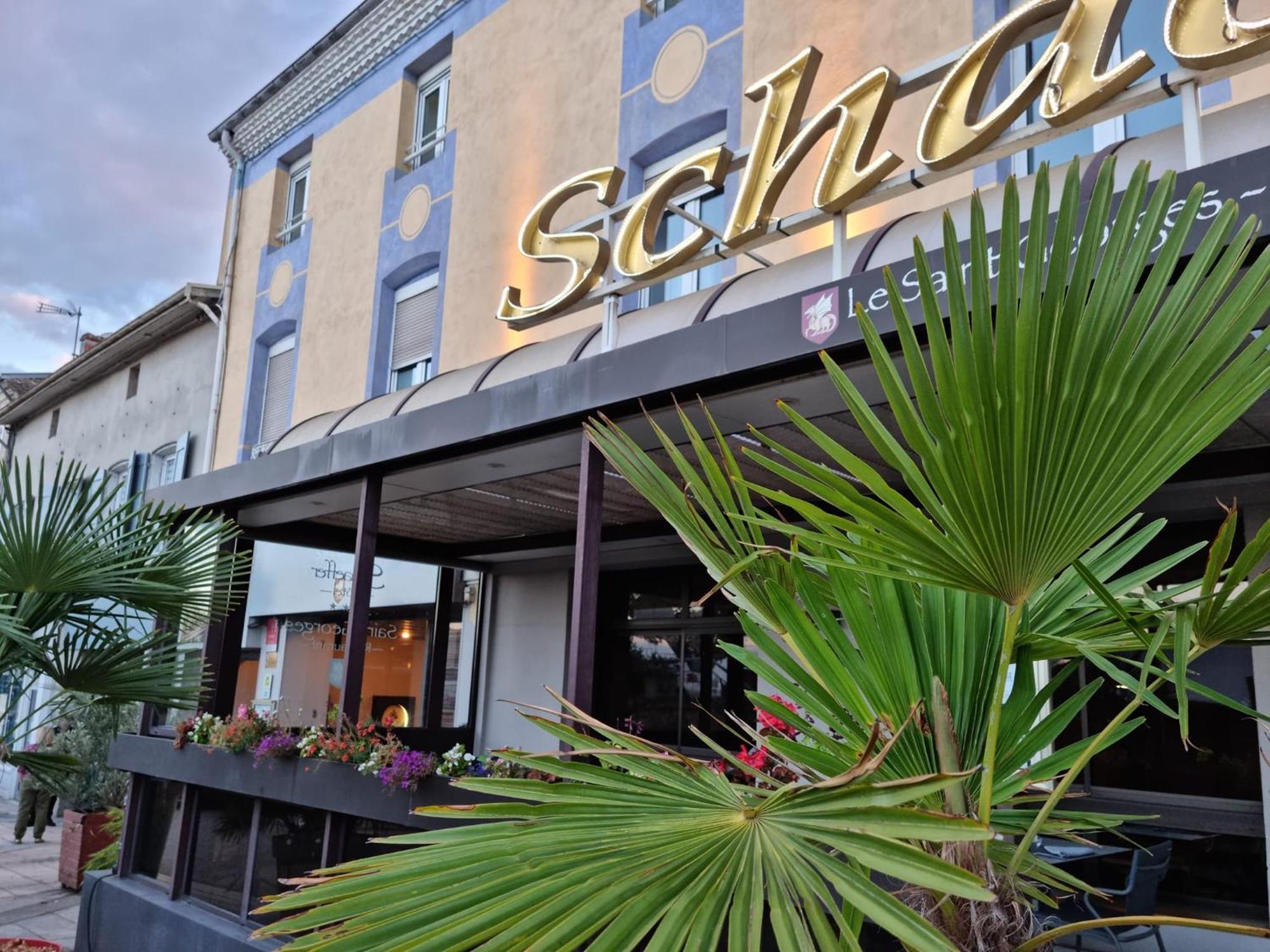 Logis Hotel Schaeffer- Restaurant Le Saint Georges Serrieres  Exterior photo